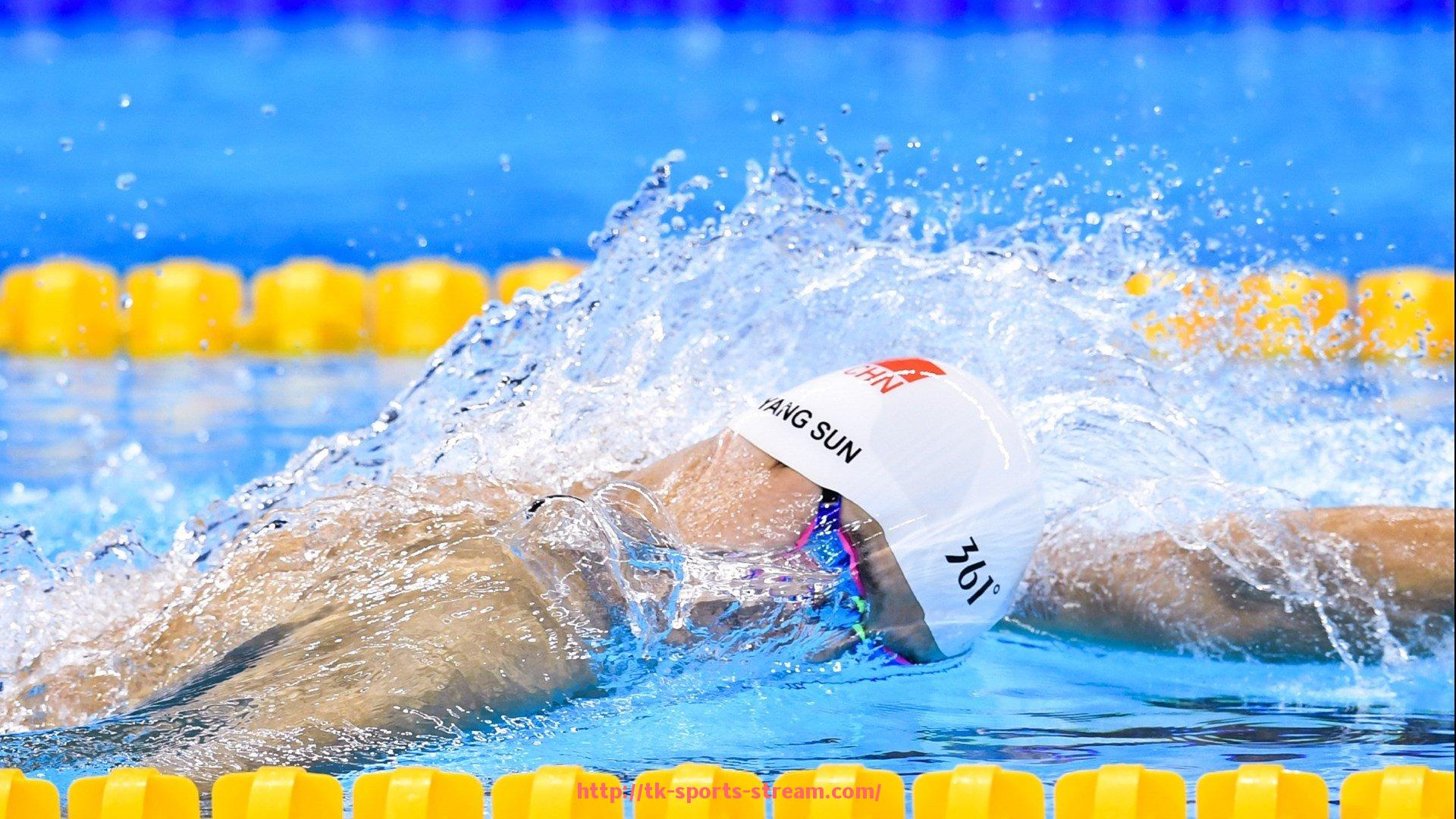 TK体育直播-法甲赛季最终结果解析:2024-2025赛季的赢家与失意者