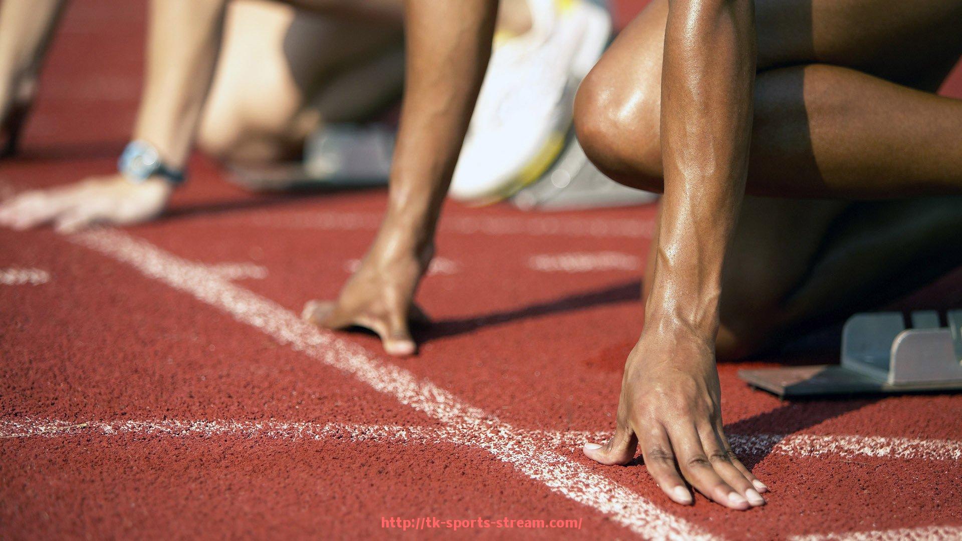 TK体育直播-主办城市交通便利化措施落地 助力世俱杯观众高效抵达